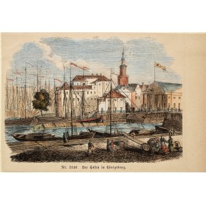 KRÓLEWIEC (KALININGRAD). Port; anonim, niemiecka grafika z XIX wieku; drzew