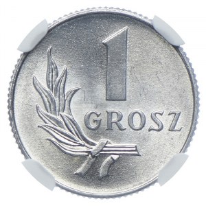 1 grosz 1949, NGC MS65