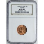 5 groszy 1949 B, NGC MS65 RD