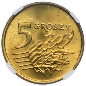 5 groszy 1991, NGC MS65