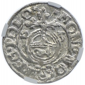 Zygmunt III Waza, półtorak 1623 Bydgoszcz, NGC MS65