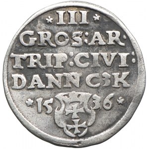 Trojak, Zygmunt I Stary, 1536 Gdańsk