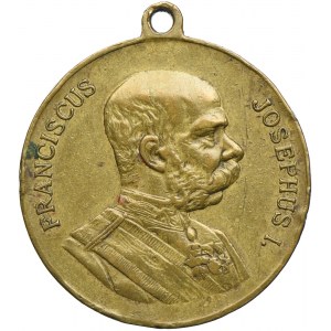 Medal, Francieszek Józef I, Cesarskie manewry Cieszyn 1906 