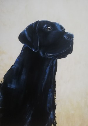 Aleksandra Lacheta, Labrador, 2019