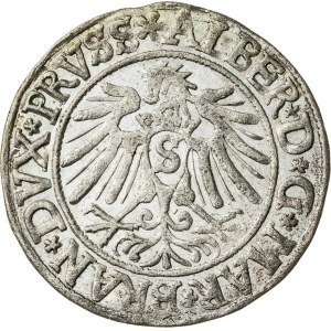 Prusy Książęce, Albrecht Hohenzollern (1525–1568), grosz pruski lenny, Królewiec; 1538