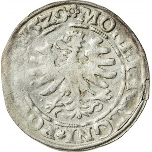 Zygmunt I Stary (1506–1548), grosz koronny, Kraków; 1529