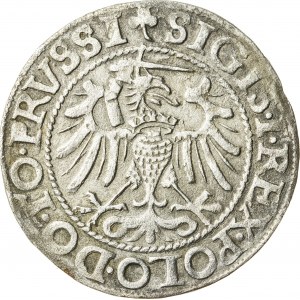 Zygmunt I Stary (1506–1548), grosz elbląski, Elbląg; 1540