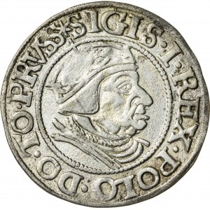 Zygmunt I Stary (1506–1548), grosz gdański, Gdańsk; 1538