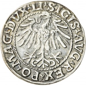 Zygmunt II August [1544 (1548) –1572], półgrosz litewski, Wilno; 1548