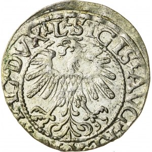 Zygmunt II August [1544 (1548) –1572], półgrosz litewski, Wilno; 1559