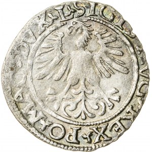 Zygmunt II August [1544 (1548) –1572], półgrosz litewski, Wilno; 1561