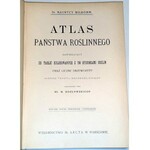WILKOMM - ATLAS PAŃSTWA ROŚLINNEGO 1911r. kolorowe tablice, drzeworyty