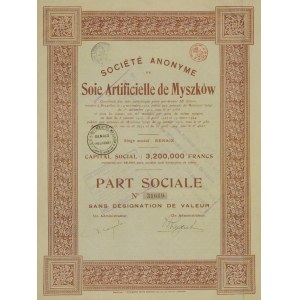 MYSZKÓW. Akcja Societe Anonyme de Soie Artific de Myszków, Bruksela 1924