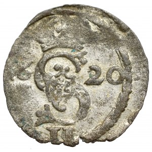 Sigismund III, 2 denarii 1620, Vilnius
