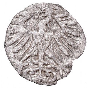 Sigismund II Augustus, Denarius 1556, Vilnius