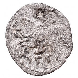 Sigismund II Augustus, Denarius 1556, Vilnius