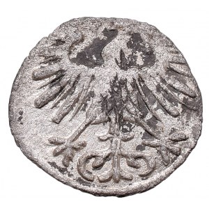Zygmunt II August, Denar 1556, Wilno