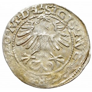 Sigismund II Augustus, 1/2 groschen 1564, Vilnius - L/LITV
