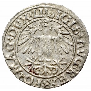 Sigismund II Augustus, 1/2 groschen 1549, Vilnius - LI/LITVA