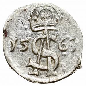 Sigismundus II Augustus, 2 denar 1569, Vilnius