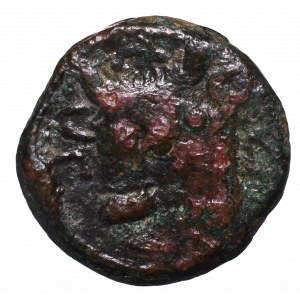 Grecja, Pantikapajon, AE17 pocz. III wieku