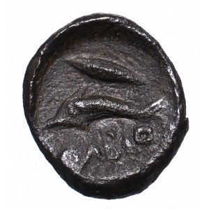 Grecja, Olbia, AE9 II poł. IV wieku pne