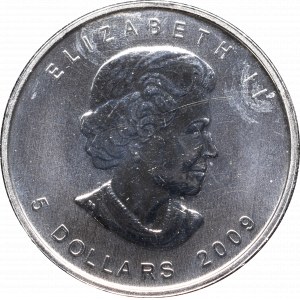 Kanada, 5 dolarów 2009 Maple leaf w kapslu emisyjnym