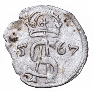 Sigismundus II Augustus, 2 denar 1567, Vilnius