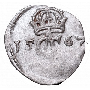 Sigismundus II Augustus, 2 denar 1567, Vilnius