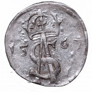 Sigismundus II Augustus, 2 denar 1567, Vilnius