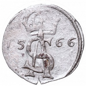 Sigismundus II Augustus, 2 denar 1566, Vilnius