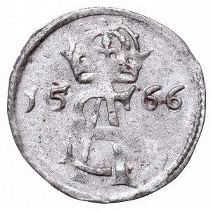 Sigismundus II Augustus, 2 denar 1566, Vilnius