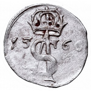 Sigismundus II Augustus, 2 denar 1566, Vilnius