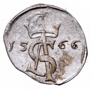 Sigismundus II Augustus, 2 denar 1566, Vilnius