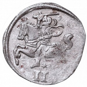 Sigismundus II Augustus, 2 denar 156?, Vilnius
