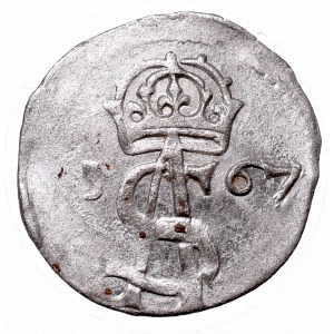 Sigismundus II Augustus, 2 denar 1567, Vilnius