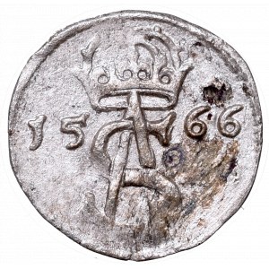 Sigismundus II Augustus, 2 denar 1566, Vilnius