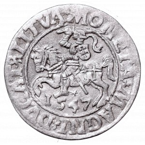 Sigismund II Augustus, Half-groat 1547, Vilnius - LI/LITVA