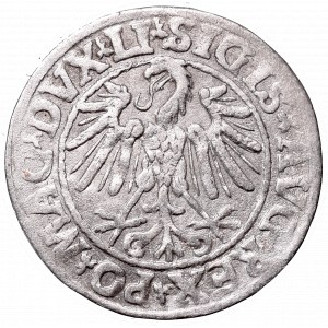 Sigismund II Augustus, Half-groat 1547, Vilnius - LI/LITVA