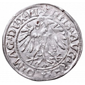 Sigismund II Augustus, Half-groat 1547, Vilnius - LI/LITVA