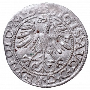 Sigismund II Augustus, Half-groat 1565, Vilnius, L/LITV