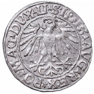 Sigismund II Augustus, Half-groat 1548, Vilnius - LI/LITVA