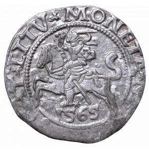 Sigismund II Augustus, Half-groat 1565, Vilnius, L/LITV