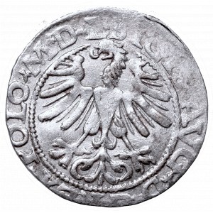 Sigismund II Augustus, Half-groat 1565, Vilnius, L/LITV