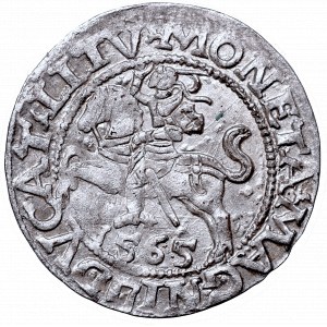 Zygmunt II August, Półgrosz 1565, Wilno, L/LITV