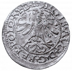 Sigismund II Augustus, Half-groat 1565, Vilnius, L/LITV