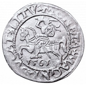 Sigismund II Augustus, Half-groat 1561, Vilnius, L/LITV