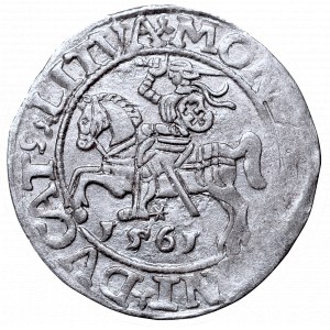 Sigismund II Augustus, Half-groat 1561, Vilnius, L/LITVA