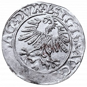 Sigismund II Augustus, Half-groat 1561, Vilnius, L/LITVA