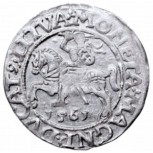 Sigismund II Augustus, Half-groat 1561, Vilnius, L/LITVA